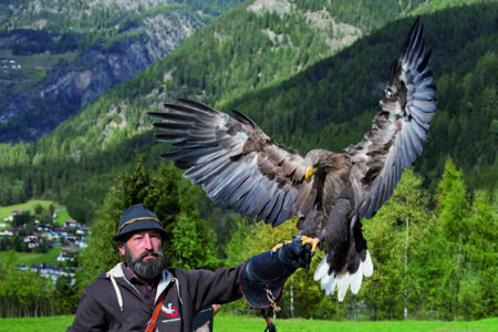 NÖ Falknerei- und Greifvogelzentrum (Lower Austrian Falconry and Bird of Prey  Centre)